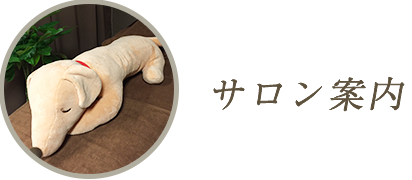 サロン案内
